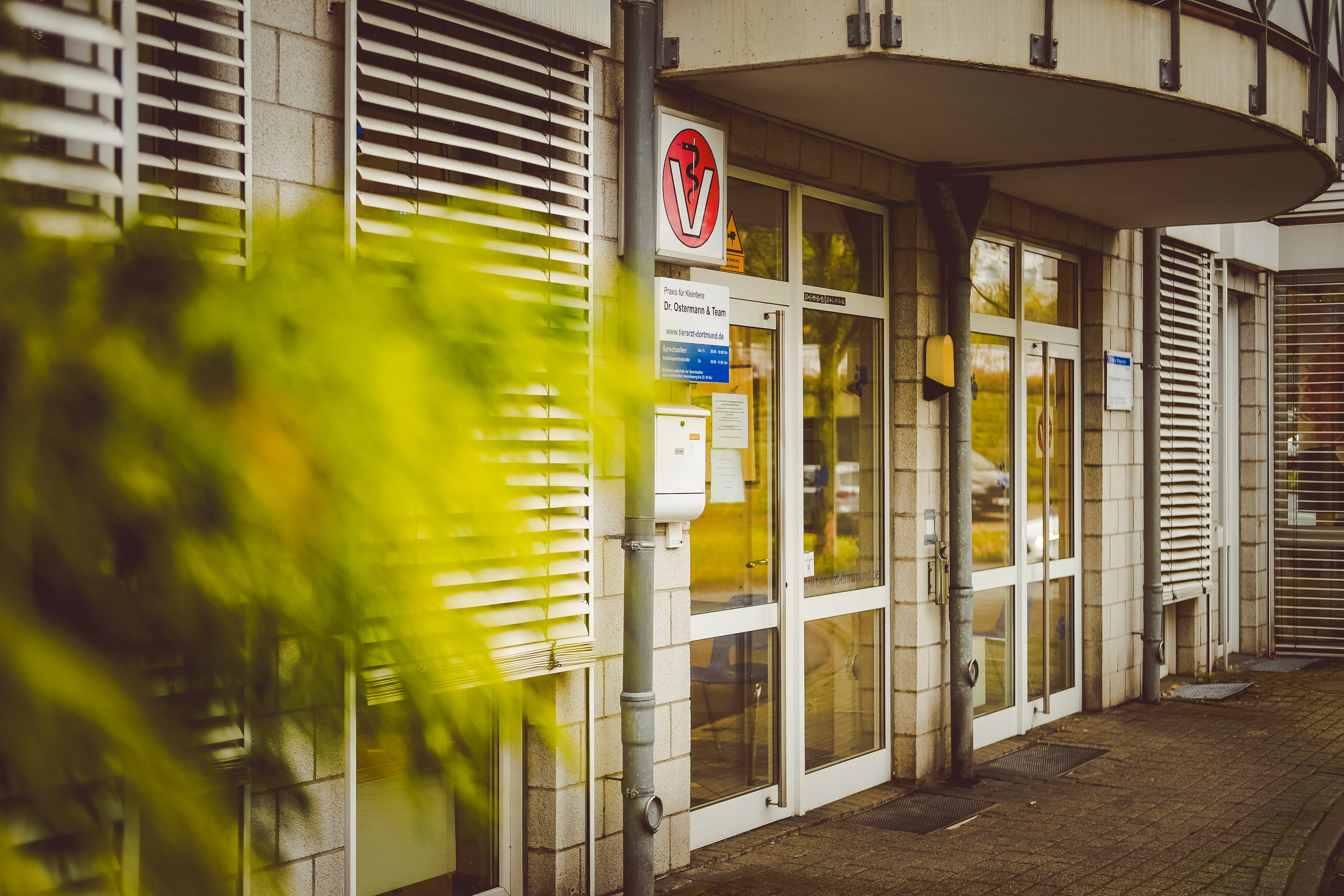 Teaserbild Kleintierpraxis Dr. Ostermann