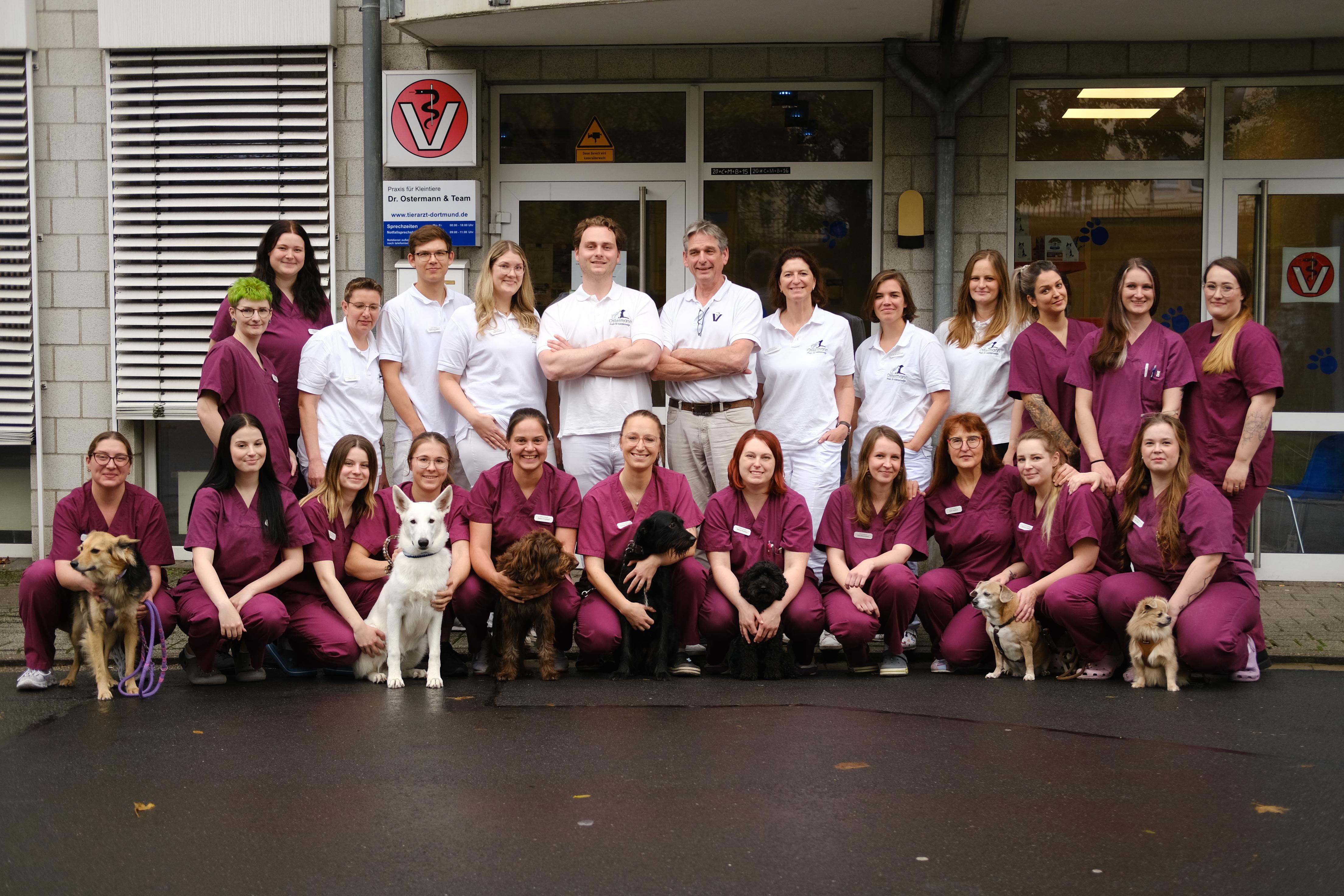 Kleintierpraxis Dr. Ostermann - unsere Vision